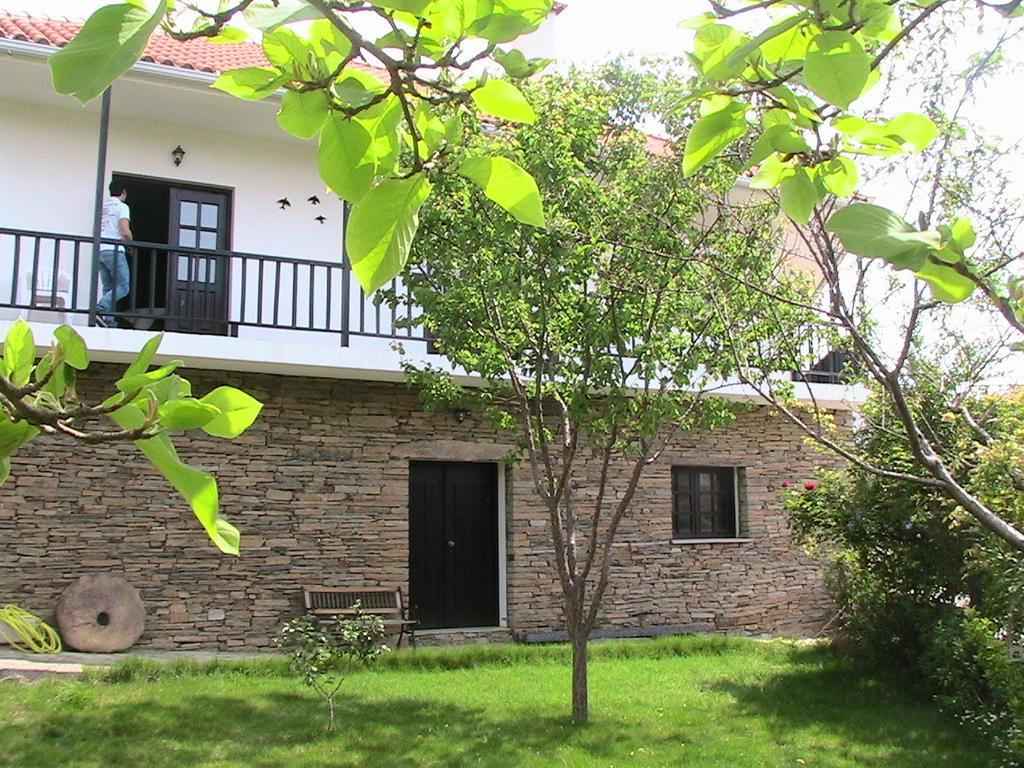 Villa Casa Oliveiras Do Douro Sobreira Exterior foto